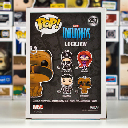 Funko Pop 257 - Lockjaw - 3